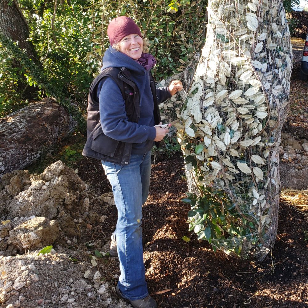 Debs AK unwrapping eleagnus