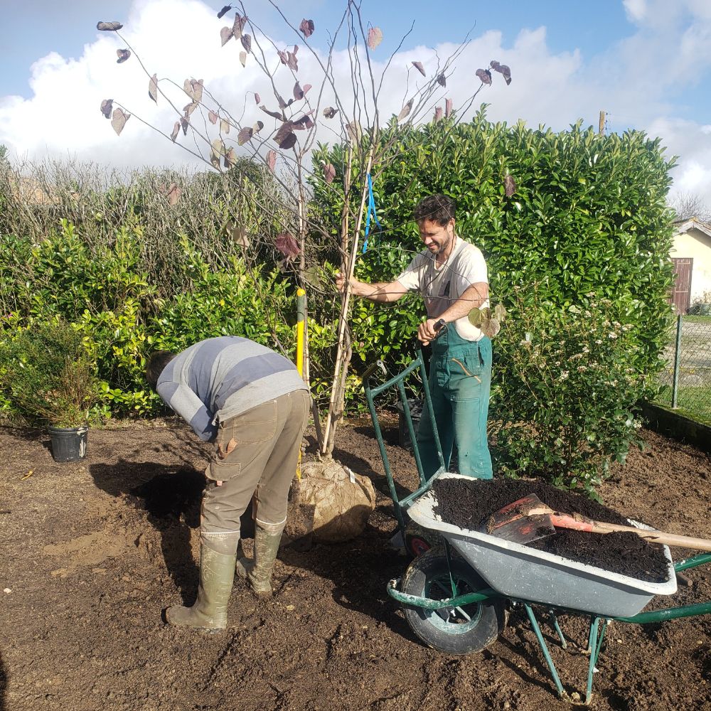 Franck & Aurelien plantation